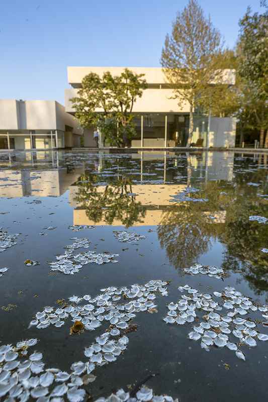 Afarinesh: trees, water and architecture