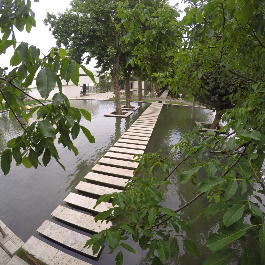 Stepping path through the real project's reflecting water and trees